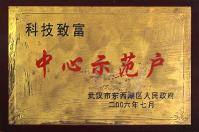 In July  2006, it won the core demonstration household of the city.